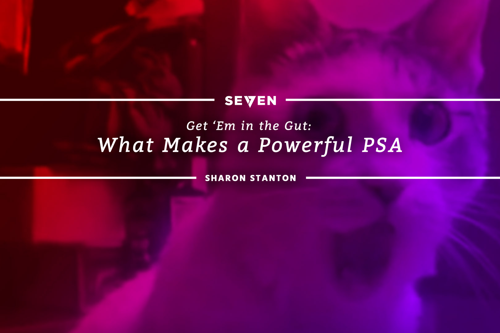 Get ‘Em in the Gut: What Makes a Powerful PSA