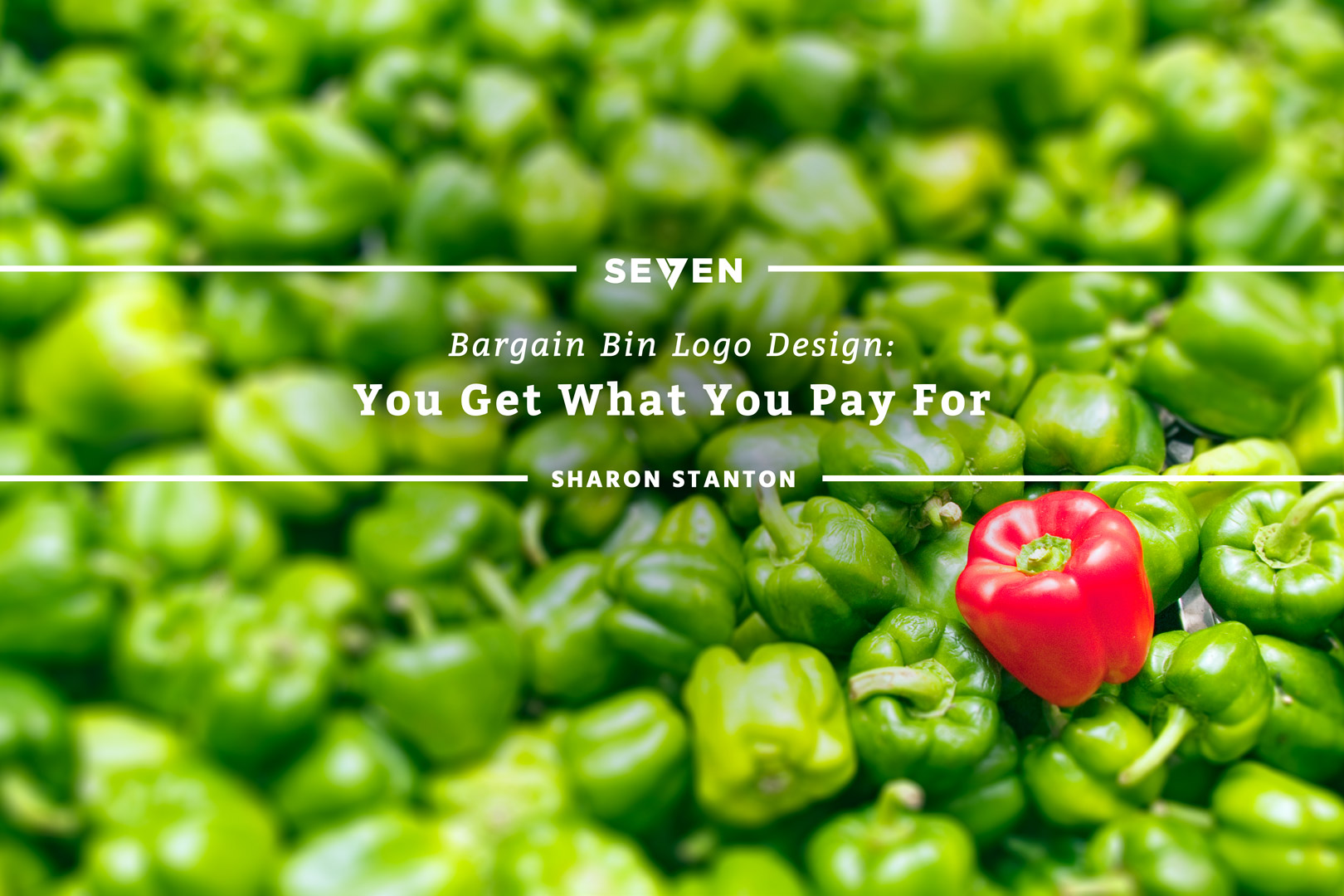Bargain Bin Logo Design: You Get What You Pay For